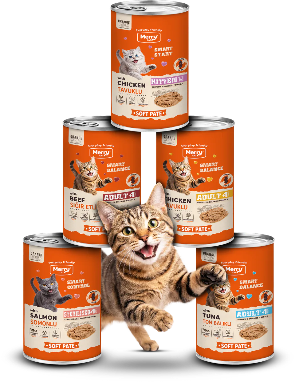 Merry Soft Pate ürünleri ve kedi